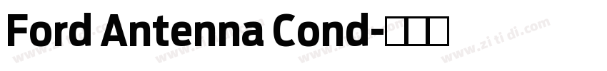 Ford Antenna Cond字体转换